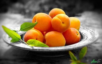 مهم‌ترین خواص زردآلو ؛ از نظم روده‌ها تا محافظت از کبد