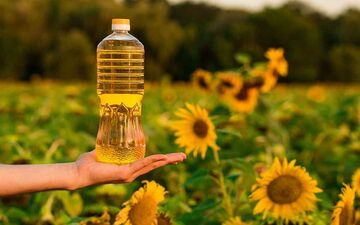 آغاز توزیع روغن آفتابگردان دولتی مهر ۱۴۰۴ | محل عرضه روغن تنظیم بازاری