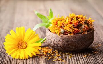 این گیاهان برای خونریزی شدید قاعدگی مفیدند