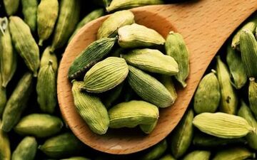 در مورد خواص بی نظیر هل بیشتر بدانید!