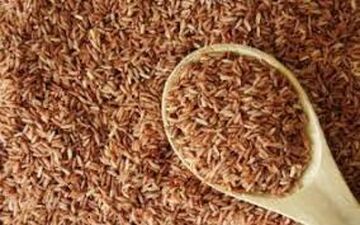 ۷ غذایی که کرختی پس از ناهار را از بین می‌برند