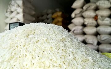  پیش‌بینی وضعیت بازار برنج تا شهریور ۱۴۰۴ 
