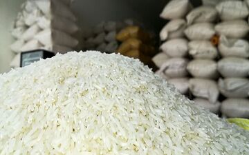  پیش‌بینی وضعیت بازار برنج تا شهریور ۱۴۰۴ 