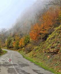 گزارش تصویری | گیلان؛ مقصدی رویایی برای عاشقان پاییز
