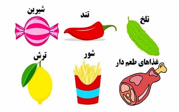 بگو ذائقه ات چیه تا ابعاد تازه ای از شخصیتت رو بهت بگم!