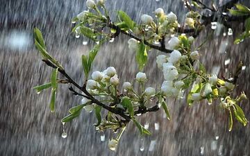 هوای مازندران تا پایان هفته جاری خنک است