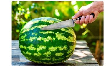 مهم/ قبل از خوردن هندوانه حتما این کار را انجام دهید