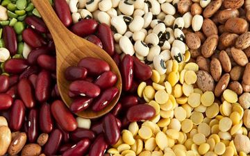 این مواد غذایی پروتئین گیاهی دارند