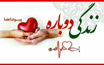 خبر خوب برای کرمانشاهیان؛ عمل پیوند قلب از سال آینده اجرایی می شود 