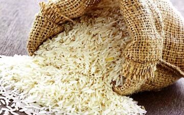 قیمت برنج در بازار