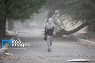 ثبت تردد بیش از ۶۹۲ هزار زائر اربعین از مرزهای خوزستان