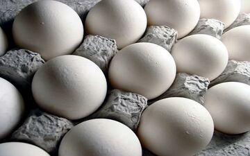 گرانی تخم‌مرغ به تولید ربط ندارد/ نرخ منطقی شانه‌ای ۱۰ هزار تومان