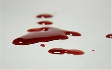 راز قتل پسر پس از مرگ پدر فاش شد