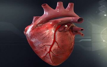 عوامل خطر قلبی عروقی که قابل اصلاح است!