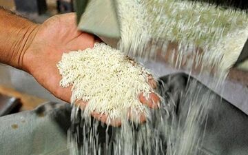 قیمت جدید برنج پاکستانی در بازار چند؟ + جدول