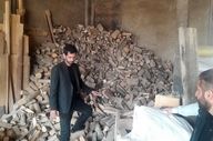 ضربه مهلک به قاچاقچیان طلای سبز در کرمانشاه؛ کشف ۳.۸ تن چوب بلوط در قلب دیزل‌آباد
