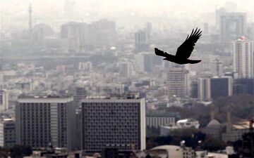 پایه مالیاتی مسکن افزایش می‌یابد 