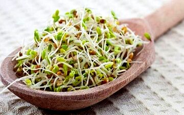 خواص جوانه‌ها برای سلامتی
