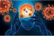 شیوع مننژیت در مناطقی از انگلیس