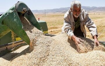 شنبه، موعد انتشار خبر خوش برای کشاورزان