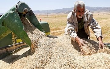 شنبه، موعد انتشار خبر خوش برای کشاورزان