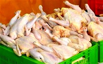  ارز ۴۲۰۰تومانی برداشته شود قیمت مرغ ۳۰هزار تومان می‌شود / تبعات‌گرانی بنزین کنترل نشد 