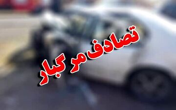 برخورد مرگبار ۲۰۶ با تیر برق فشار قوی/ عکس