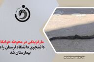 مارگزیدگی در محوطه خوابگاه؛ دانشجوی دانشگاه لرستان راهی بیمارستان شد