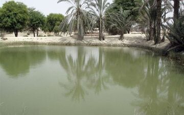 مرگ تلخ کودک 4 ساله در "هوتگ"