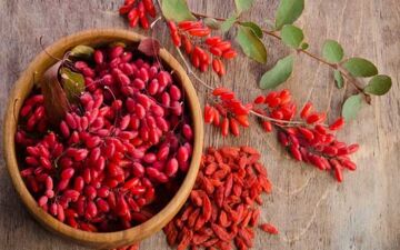 زرشک و خواص شگفت انگیز آن برای سلامت بدن