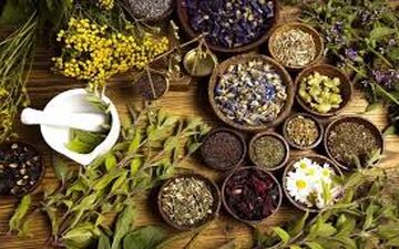 به هیچوجه گیاهان دارویی را به‌صورت پودر تهیه نکنید !
