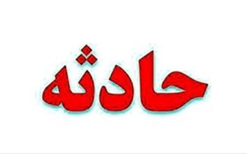 حمله حیوان وحشی به روستائیان کهگیلویه و بویر احمد

