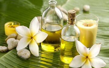 بهترین روغن برای دردهای مفاصل