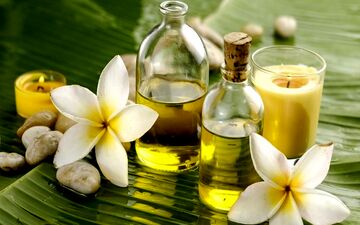 بهترین روغن برای دردهای مفاصل