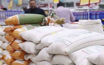 افزایش واردات برنج پس از آزادسازی نرخ ارز