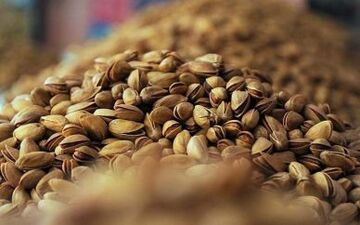 صادرات پسته کشور در ۹ ماهه سال جاری 