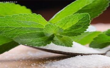 شکر برگ، شیوه جدید درمان دیابت 