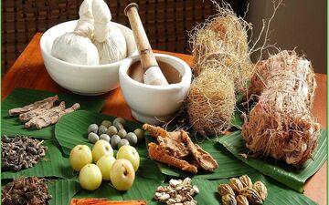 بهترین روش رفع چربی خون