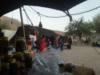 photo (2)