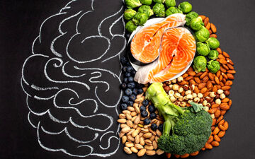 تاثیر تغذیه بر روی مغز