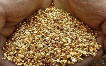 سرقت نیم کیلو طلا با همدستی پسر خانواده