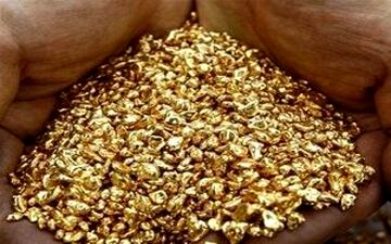 سرقت نیم کیلو طلا با همدستی پسر خانواده
