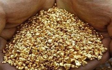 سرقت نیم کیلو طلا با همدستی پسر خانواده