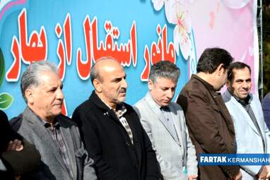 سعید طلوعی