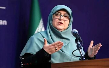 سخنگوی دولت در مورد مصادره اموال سلبریتی‌ها: اینگونه نیست! + فیلم