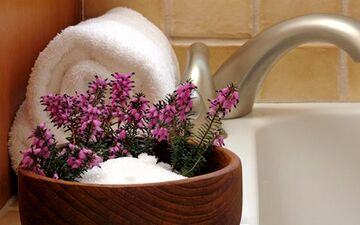 حمام‌‌درمانی گیاهی؛ رفع بیماری و زیبایی پوست