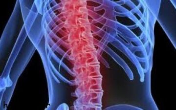 یافته های پژوهشی نشان می دهد؛ آسیب نخاعی باعث تحلیل رفتن عضلات می شود