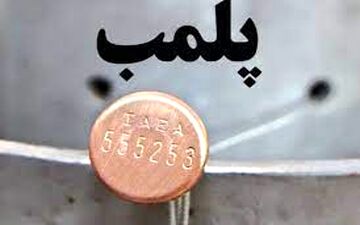 پلمب ۷۸ واحد عرضه غیر مجاز گوشت در شیراز 