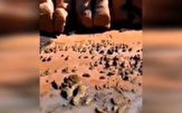 ساحلی بسیار زیبا و دیدنی در بندر لنگه 