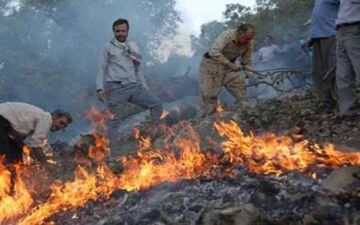  آتش سوزی پارک ملی گلستان مهار شد